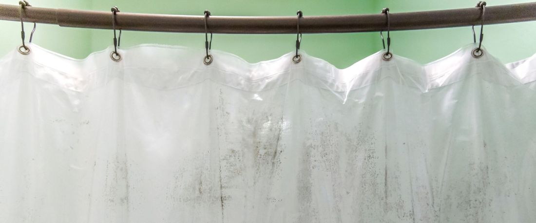 Пліснява у ванній: чому вона з’являється