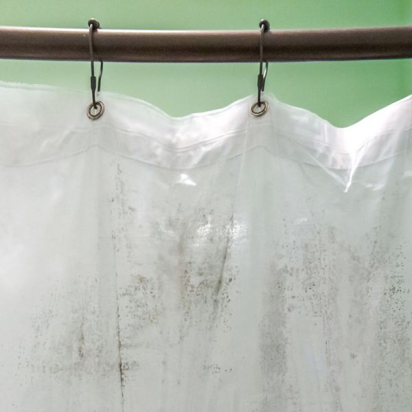 Пліснява у ванній: чому вона з’являється